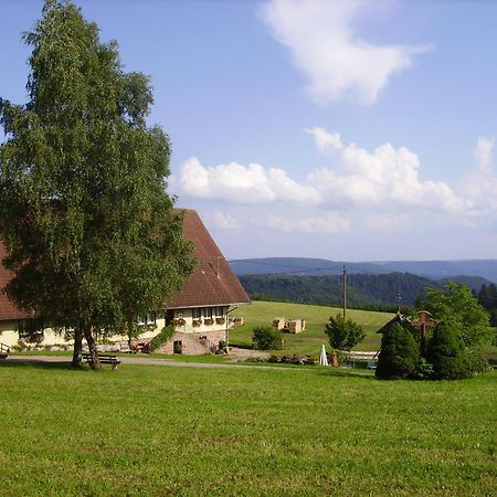 Aeckerhof Villa Wolfach Bagian luar foto